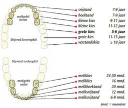 wisselschema